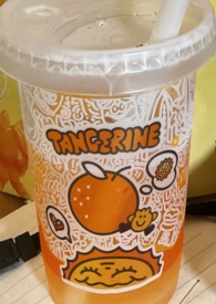 做你的猫美女